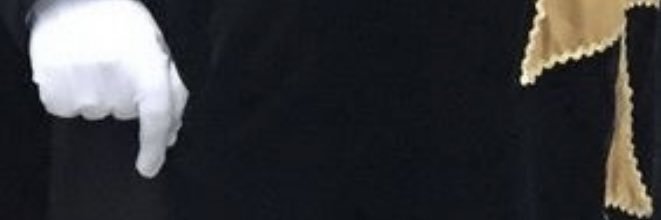 Romano Bolković banner