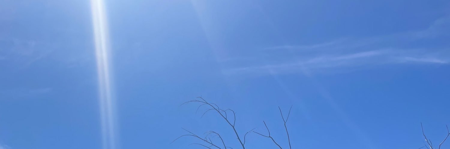 ferhagedorn6's profile banner image