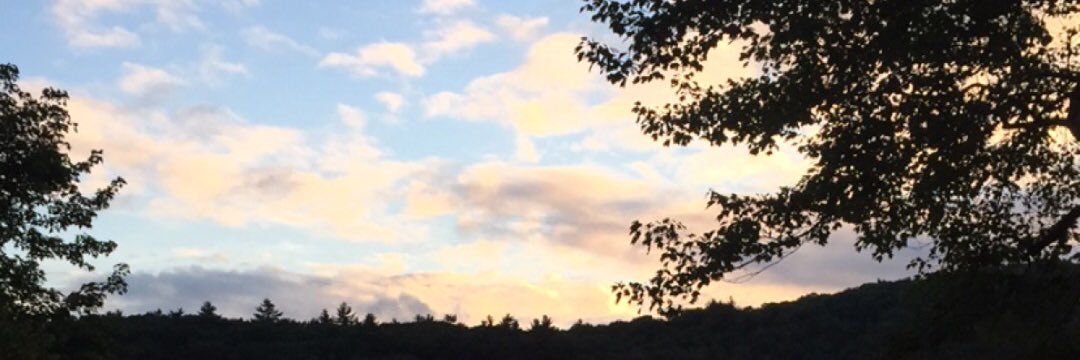 LaurenFlate's profile banner image