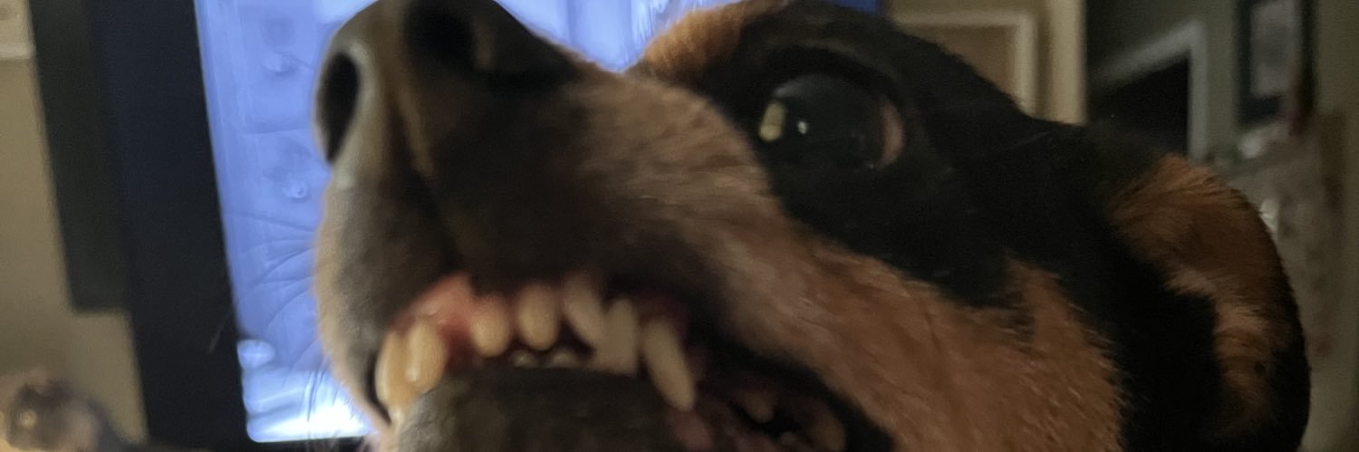 🇺🇸 ☠️ ⱤØ฿ ☠️ 🇺🇸 banner