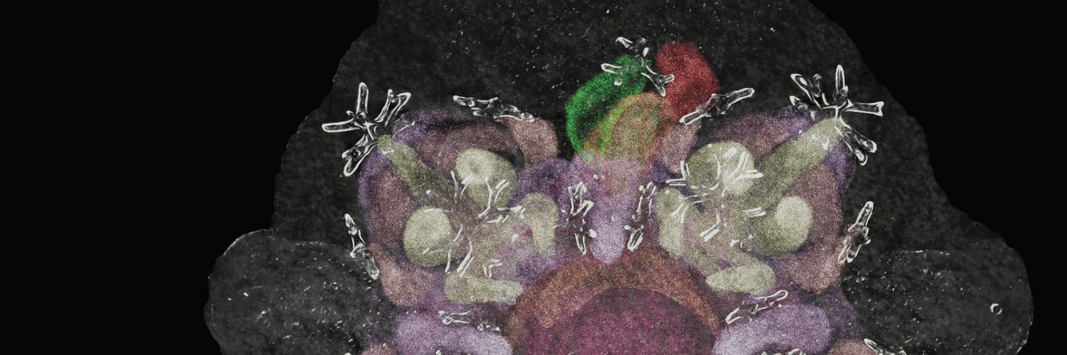 The Biological Bulletin (@BiolBulletin) / Posts / X