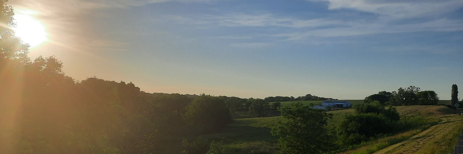 SarahTheviper's profile banner image