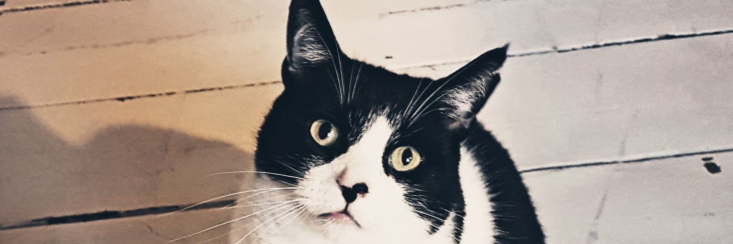 Chris Whitehead banner