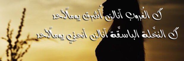 halmaaah's profile banner image