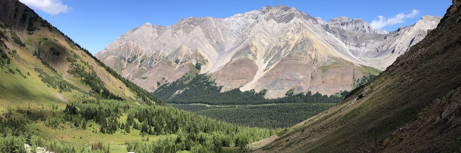 Pilich's profile banner image