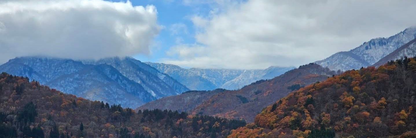 Janislley Oliveira banner