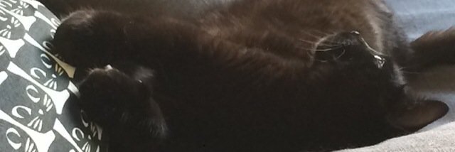 valbxchill's profile banner image