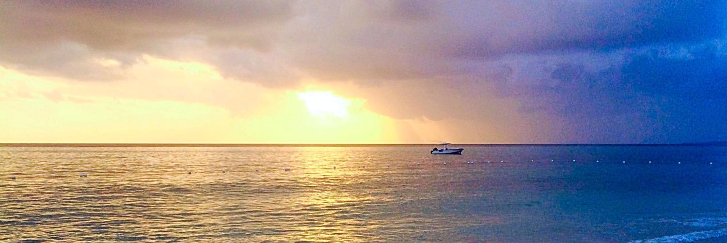 JeanetteCarnesi's profile banner image
