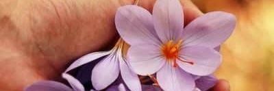 archanak669's profile banner image