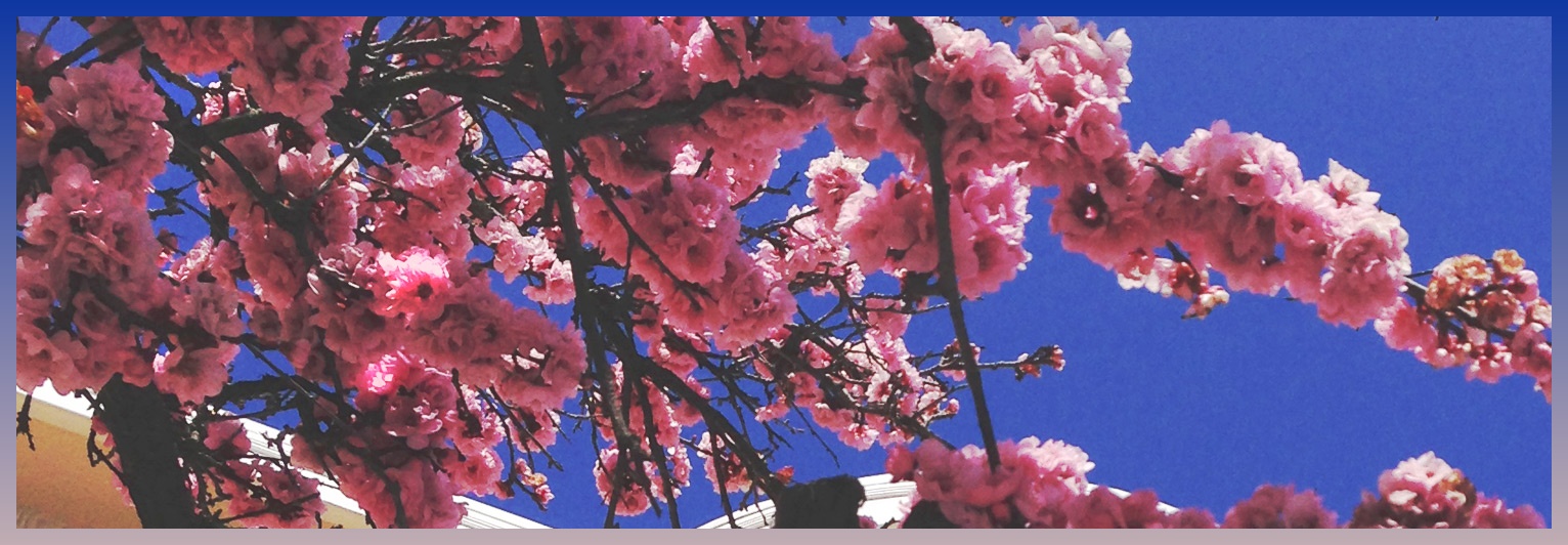 AriannaRobyn's profile banner image