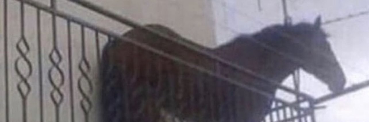 Arvllix's profile banner image