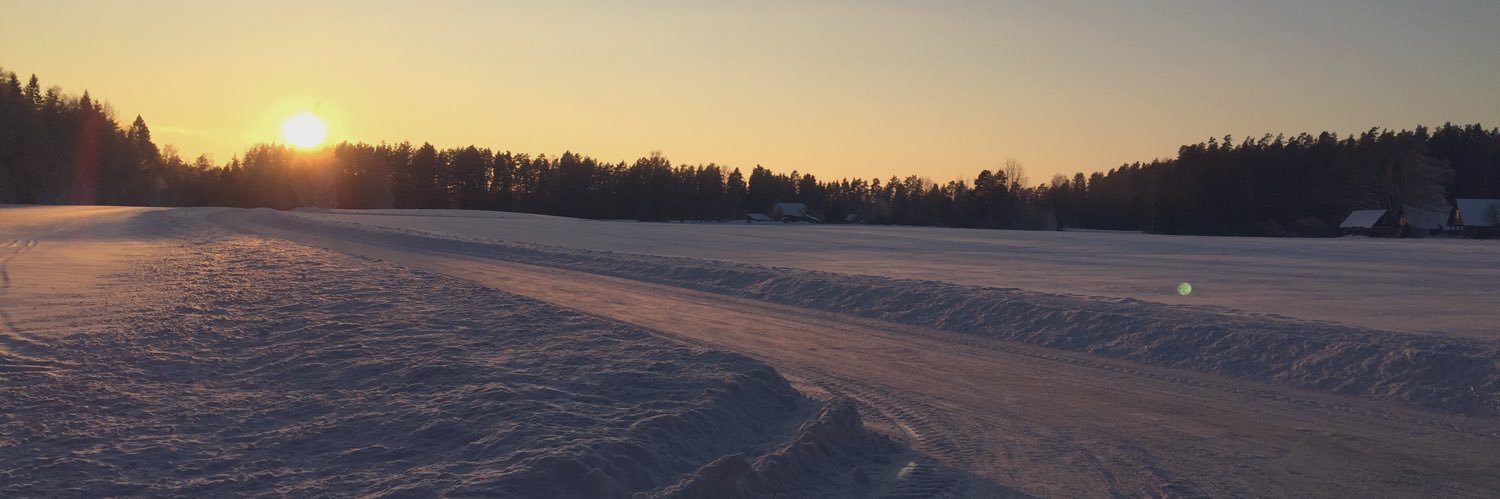 MariLiiisN's profile banner image