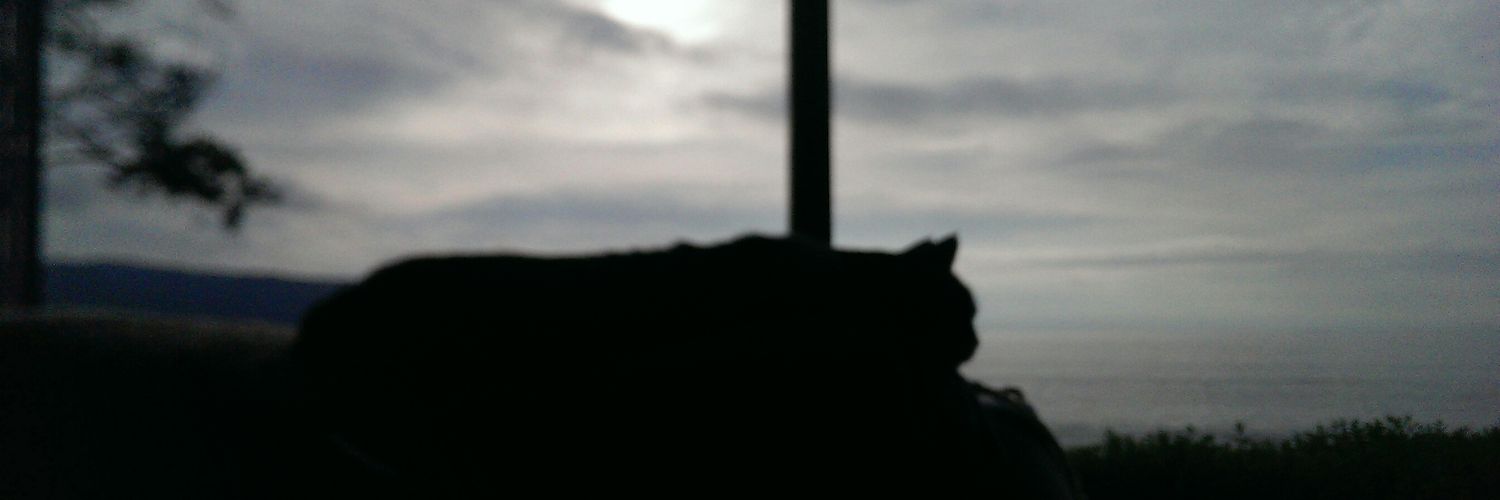 KenaFernandez's profile banner image