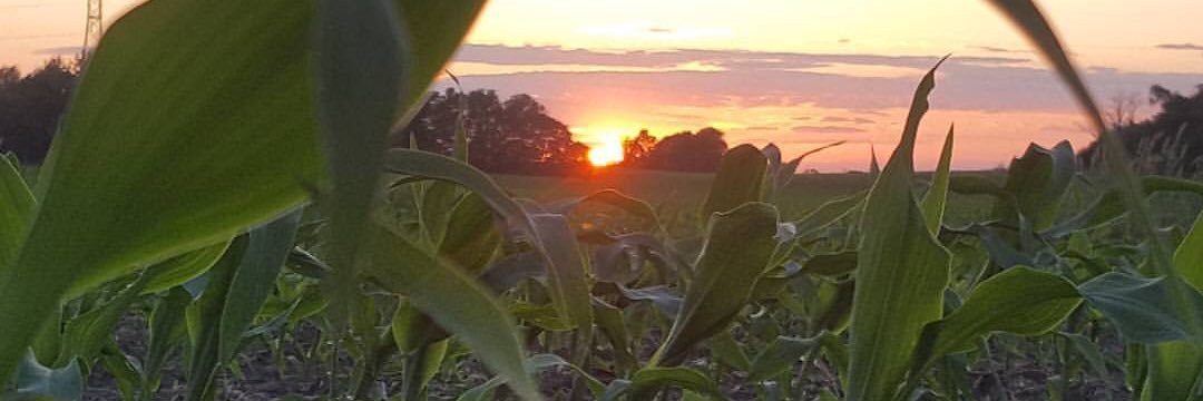 Brian Roberts banner