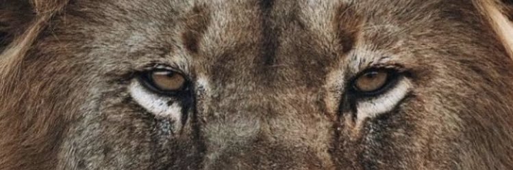 nonimarconi's profile banner image