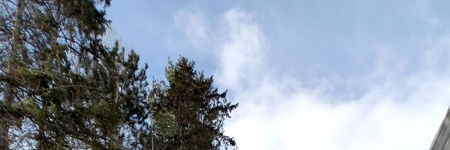 liljohn325's profile banner image