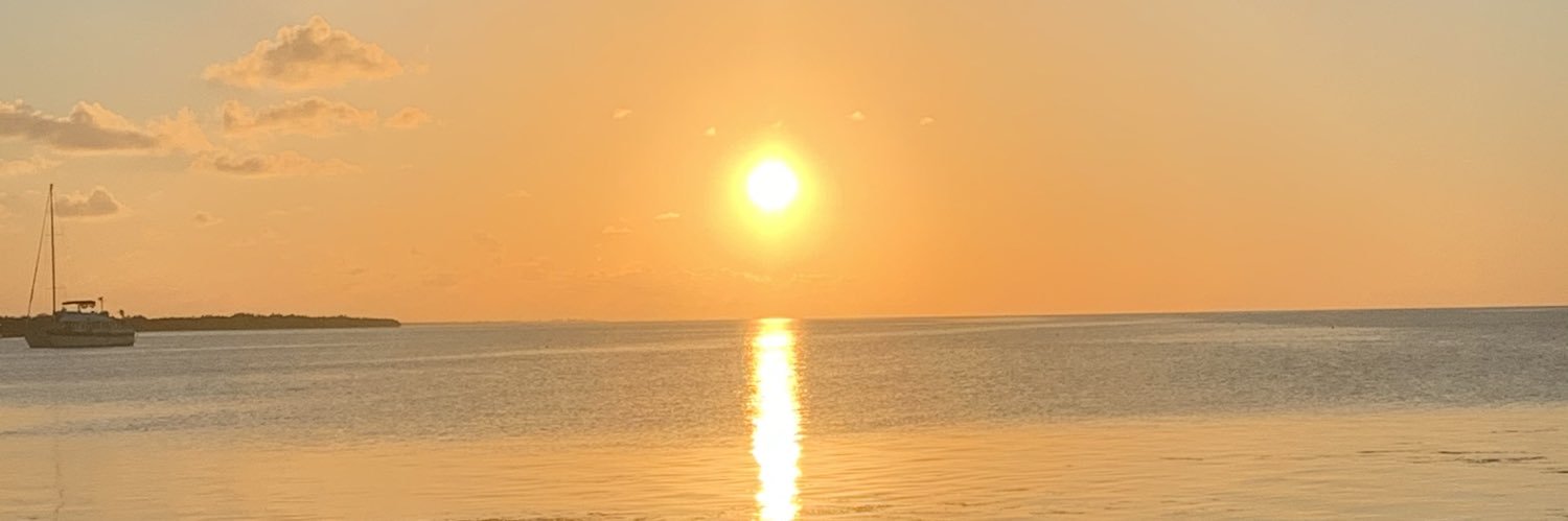 wendemc's profile banner image