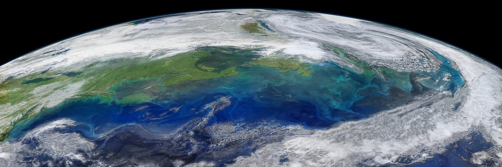 T Grébert 🌊🦠🔬🧬 banner