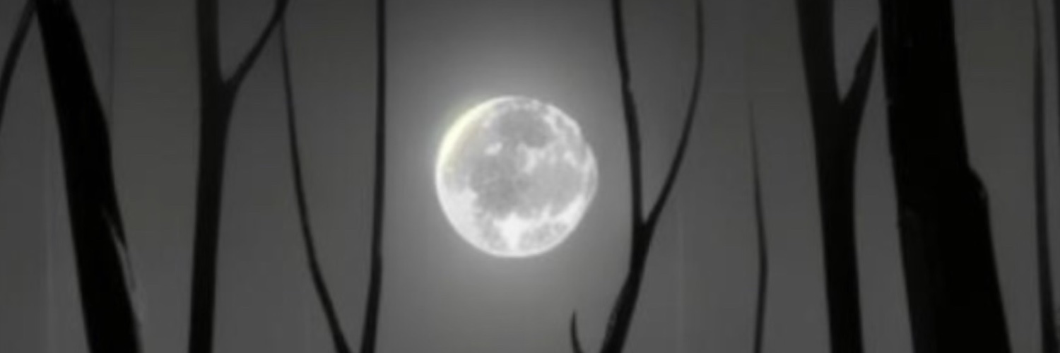 WileyD_Screams's profile banner image