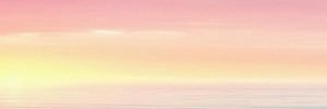 amyfisher03's profile banner image