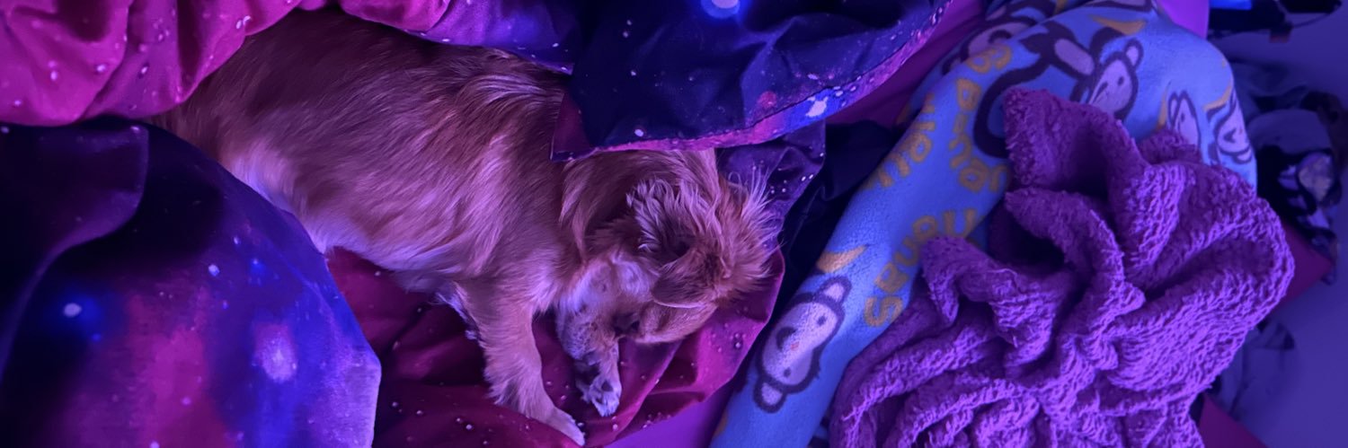 officialtink_'s profile banner image