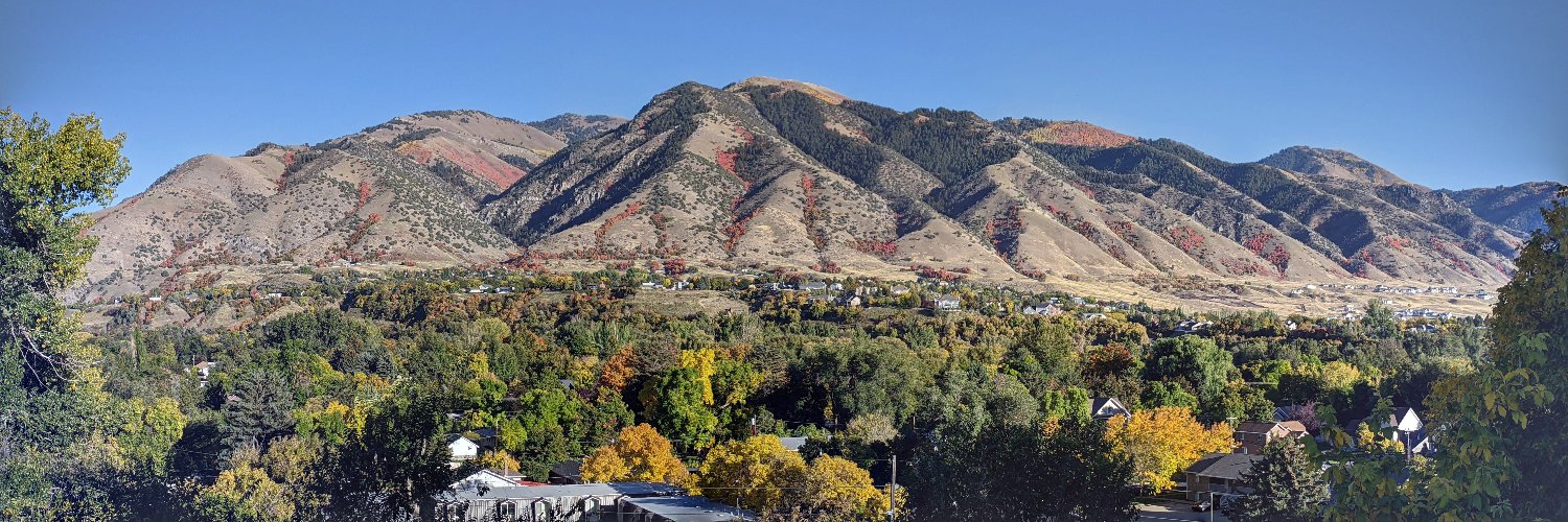 Patrick Singleton banner