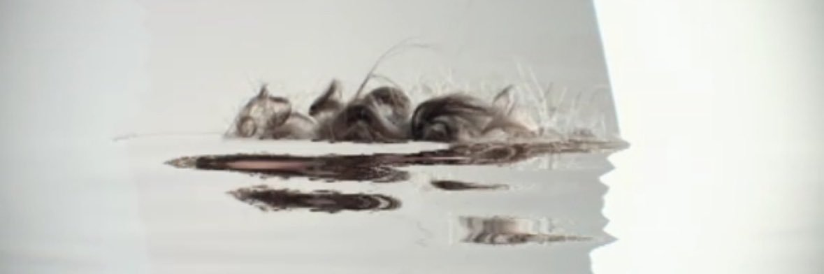 MedicTrades's profile banner image