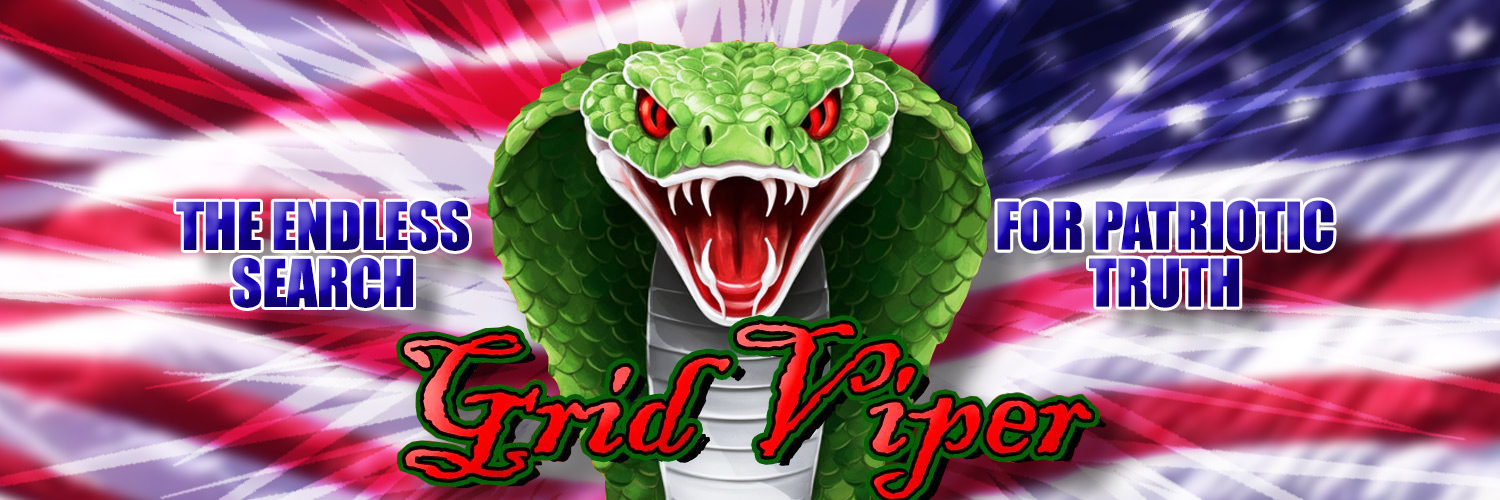 grid_viper's profile banner image