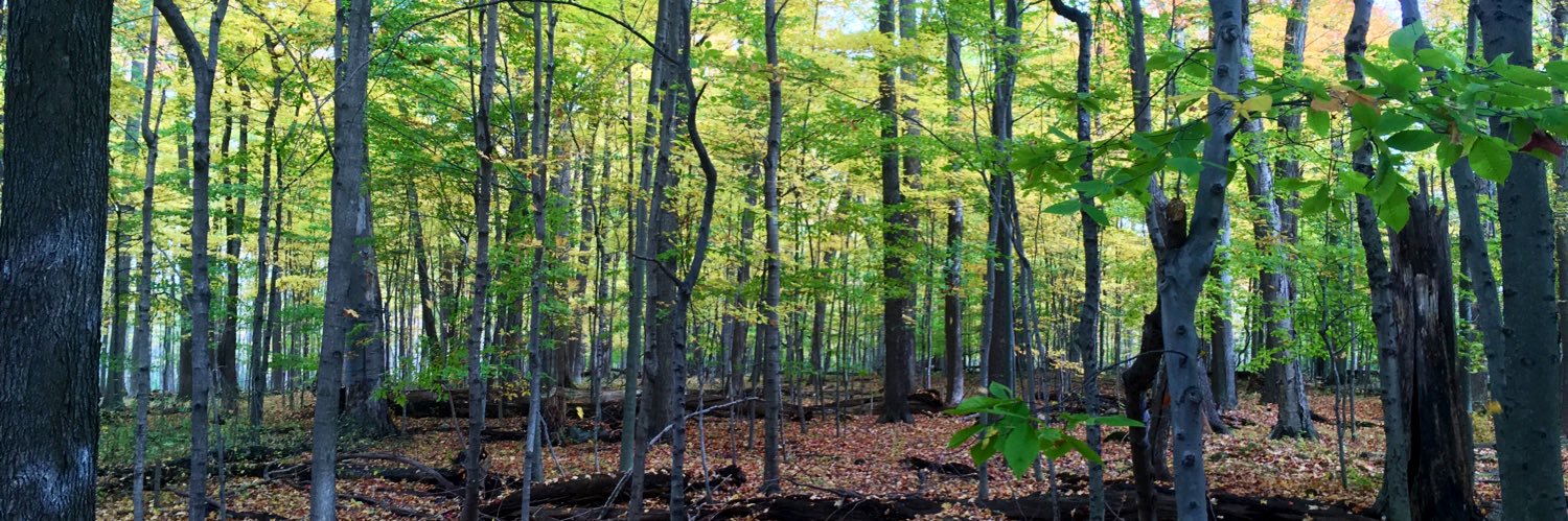 Justin Gaudon banner