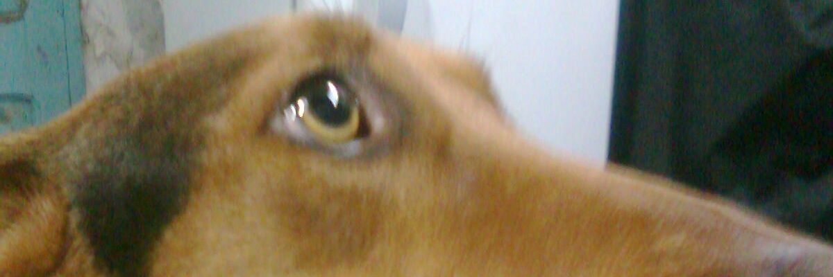marcelofabian55's profile banner image