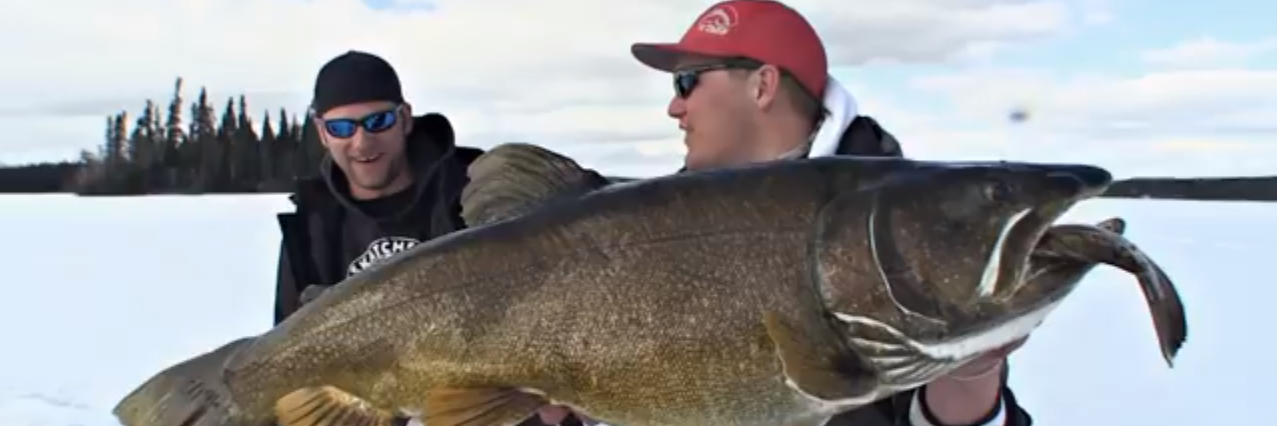 Uncut Angling banner