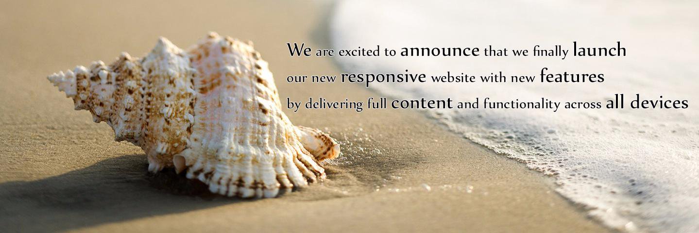 dotnetlk's profile banner image