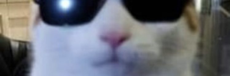 AMajanoo's profile banner image