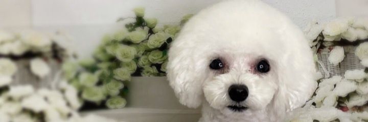 4fa05a3fe0e3469's profile banner image