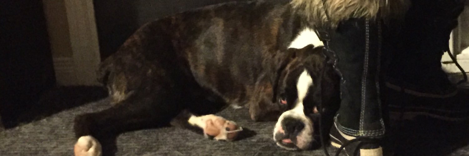 CrueTheBoxer's profile banner image