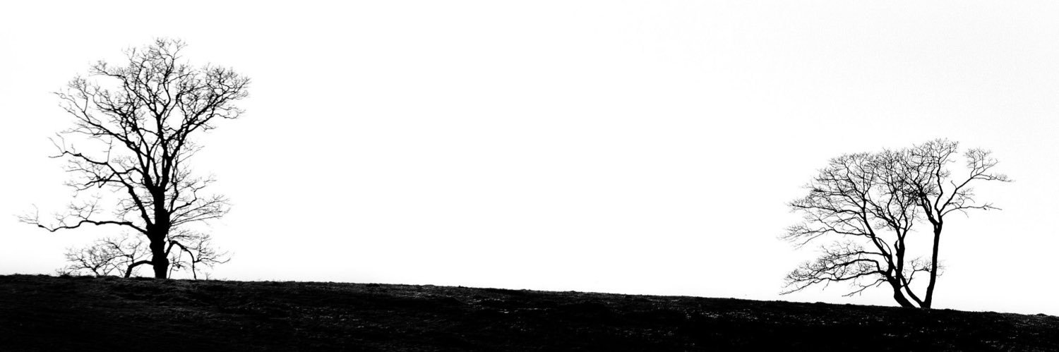 zdro7's profile banner image