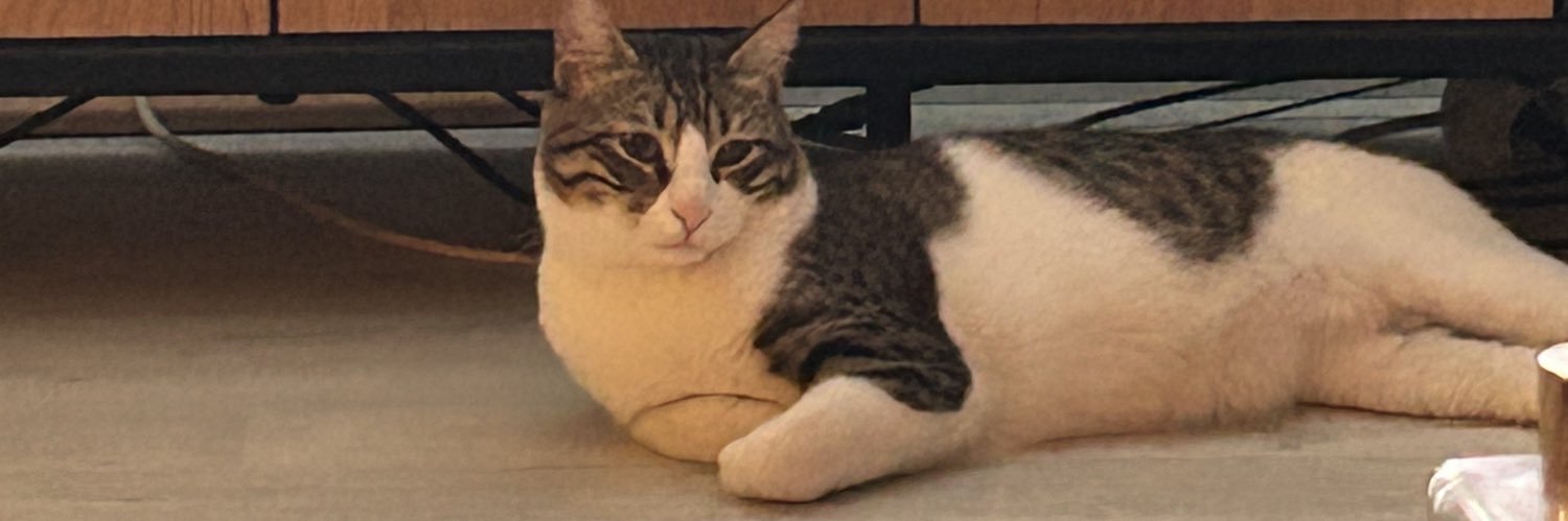 ebruumtl's profile banner image