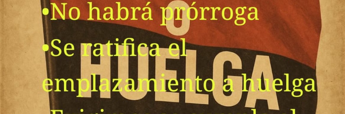 RakDF17's profile banner image