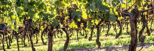 JMudgeWinters Profile Banner