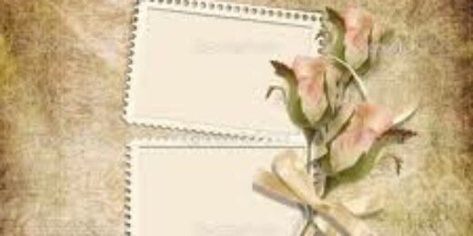 arrawrlynn's profile banner image