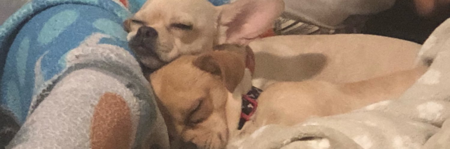 alelubby's profile banner image