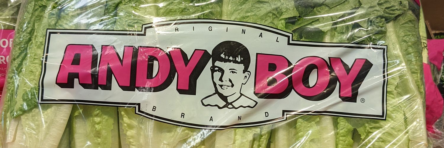 Andrew Friesen banner