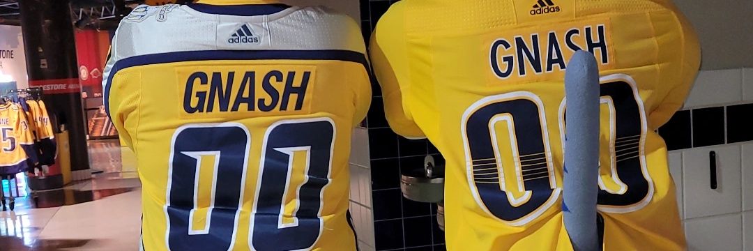 PredsFanGamer's profile banner image