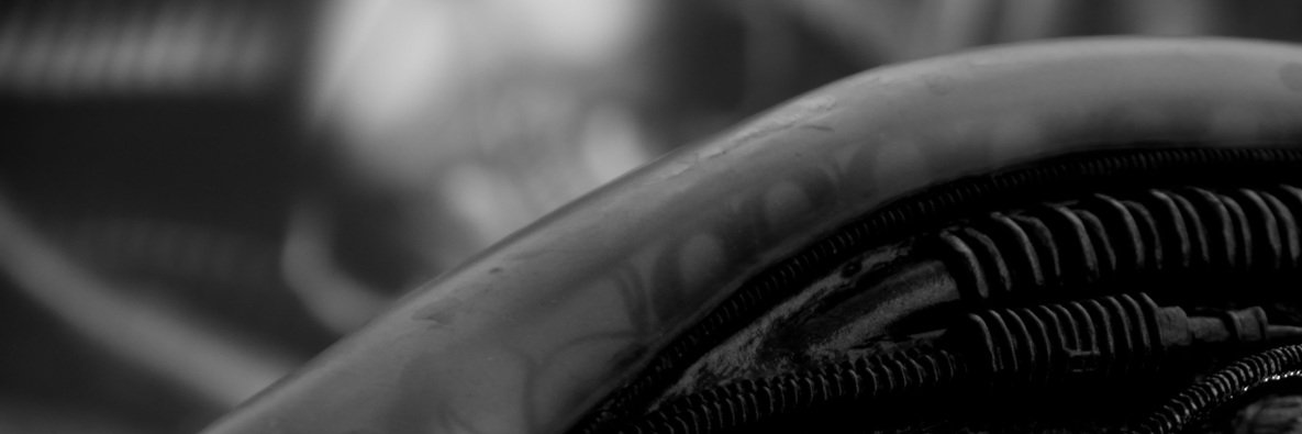 benpavanetto's profile banner image