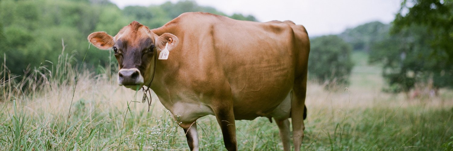 hatcherfamdairy's profile banner image