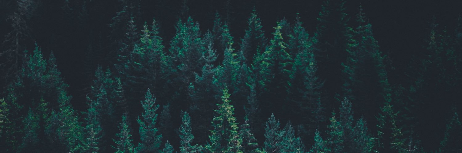 _jacm's profile banner image