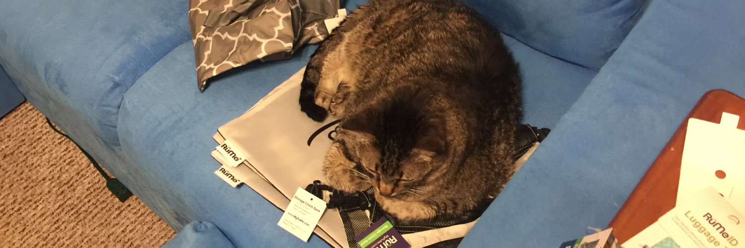 AngieBrunk's profile banner image