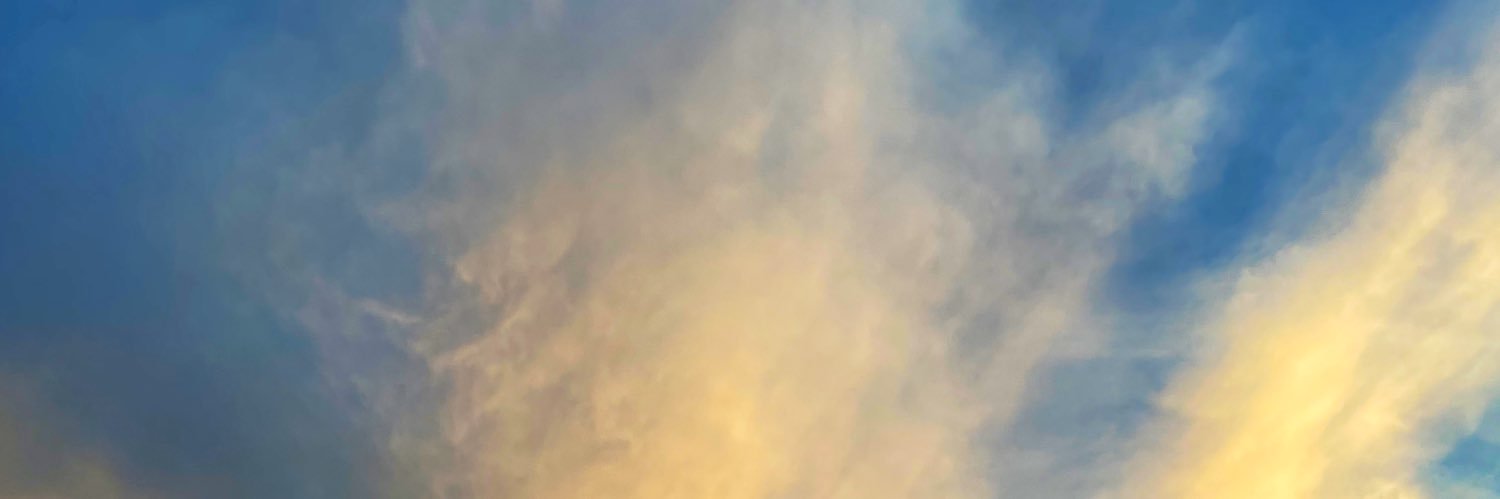 madisonmoll's profile banner image