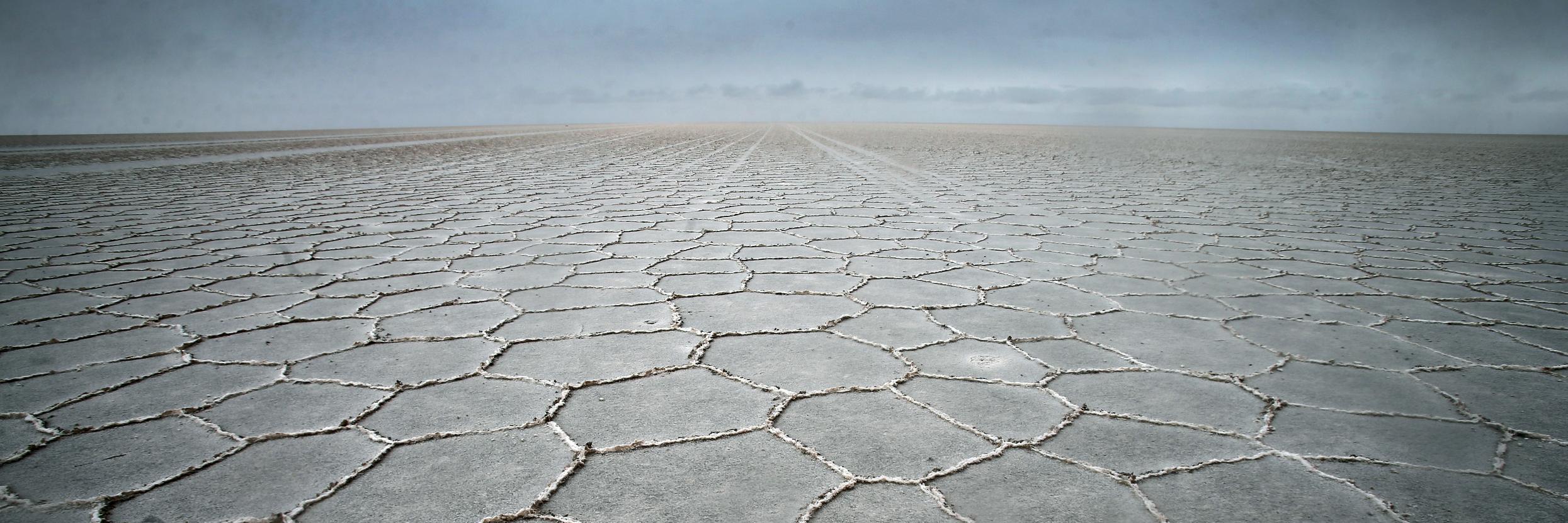 Felipe Trueba banner