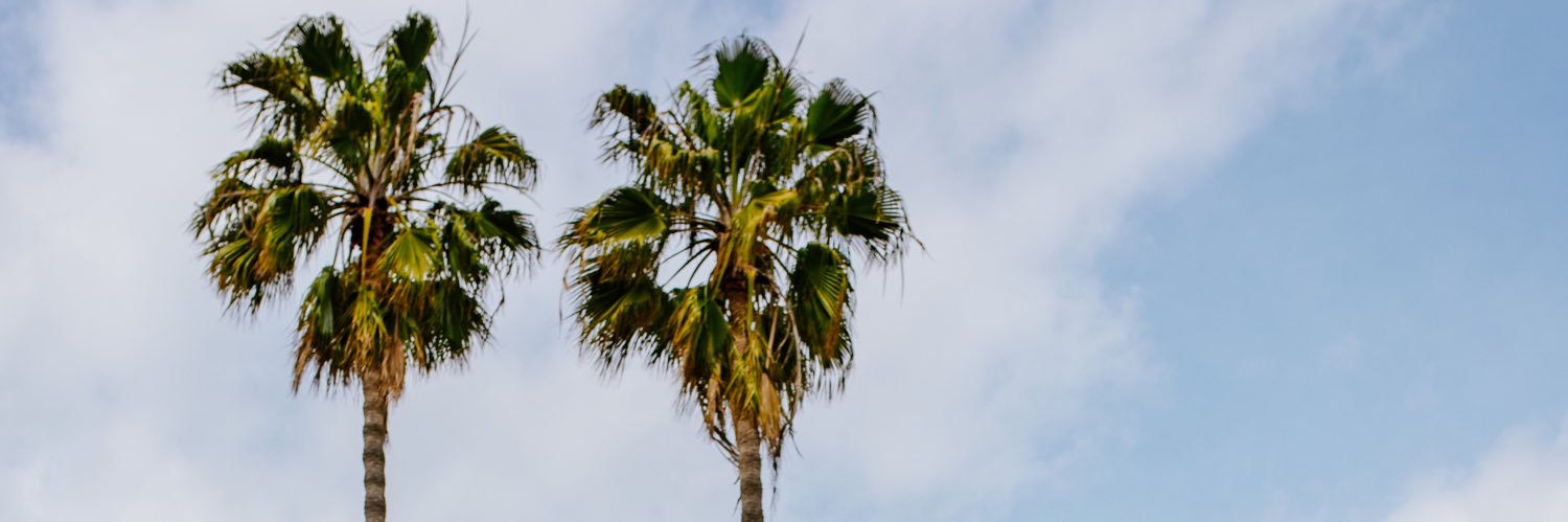 Chef Nick Liberato banner